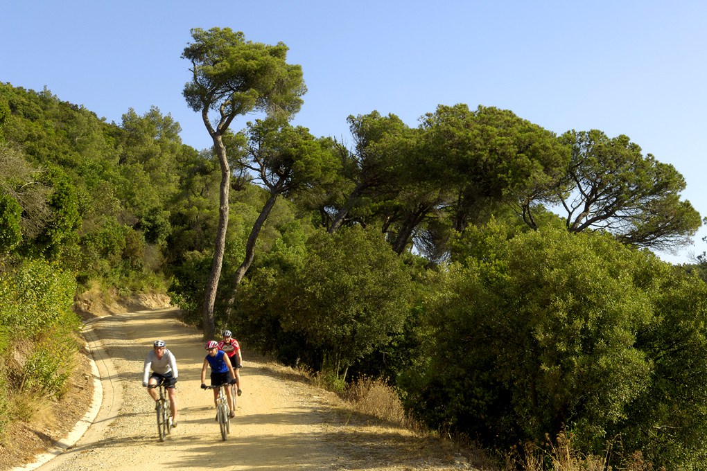 Passejades per Collserola 4
